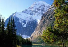 中国女足获东亚杯亚军，表现究竟如何？