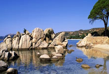 世界杯足球多少钱一个？